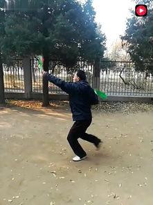 螳螂拳视频,一招一式间展现中华武术风采